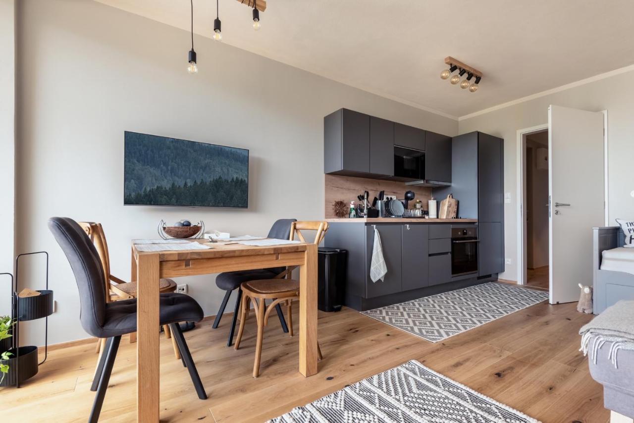 Apartment Cozy Brcalnik Zelezna Ruda